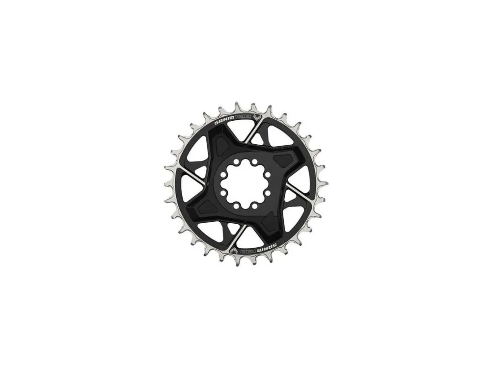 Sezónní Sleva SRAM CR T-TYPE EAGLE 30T DM 3MM BLK X0