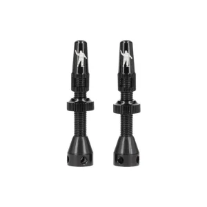 Oblíbený Ventil MICHELIN Tubeless 40mm 2ks