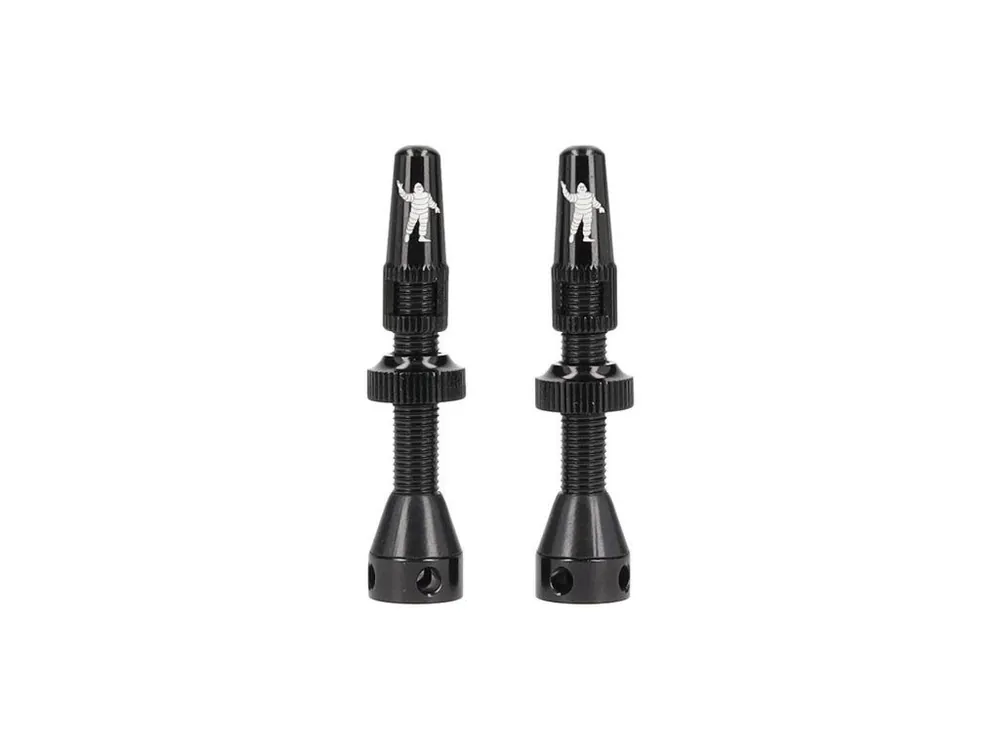 Oblíbený Ventil MICHELIN Tubeless 40mm 2ks
