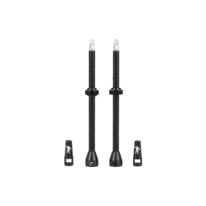 Ventil MICHELIN Tubeless 100mm 2ks Dokud Zásoby Vydrží