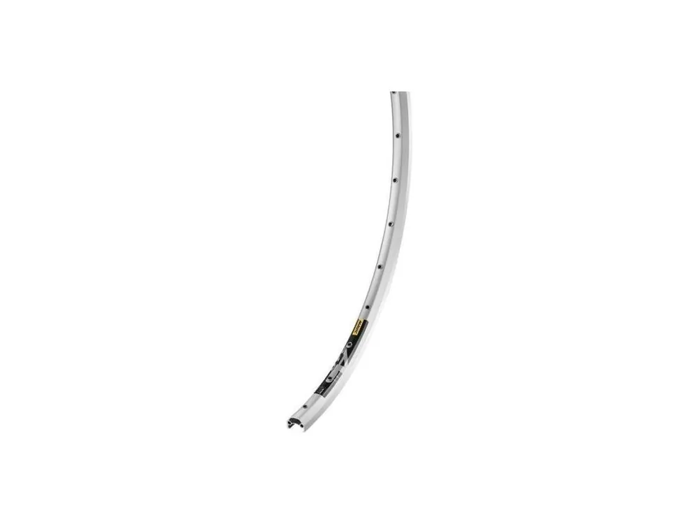 Nakupujte Hned MAVIC RÁFEK A 319 SILVER 36H