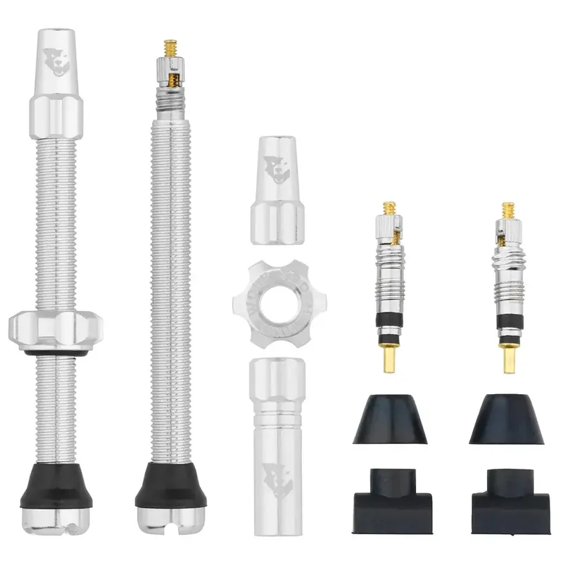 WOLF TOOTH ventilky Tubeless Valve Stem Kit 60mm Raw Silver Nejlepší Cena