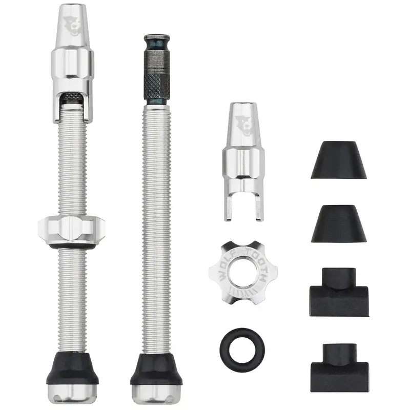 WOLF TOOTH ventilky Tubeless Valve Stem Kit Clik Valve 60mm raw silver Poslední Šance