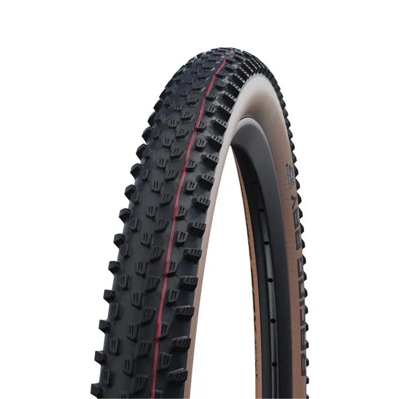 Akce SCHWALBE Plášť RACING RAY (60-622) 29x2.35 Evolution 67EPI 745g Transparent TLE Speed