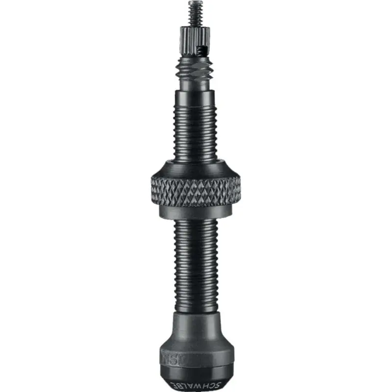 SCHWALBE Ventil SV Tubeless 60mm 2ks Pouze Dnes