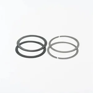 Těsnění Chris King Seal&Snap Ring kit Akce