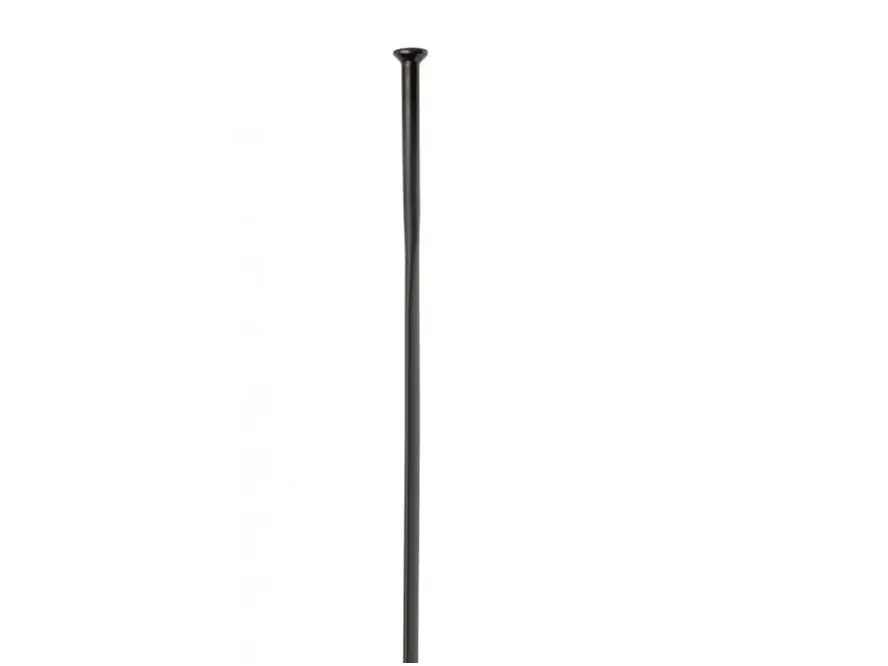 Nakupujte Hned Paprsek DT Swiss Aerolite Straightpull